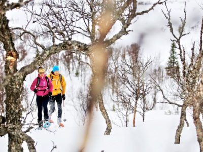 Begeleide sneeuwschoen hike Stockholm