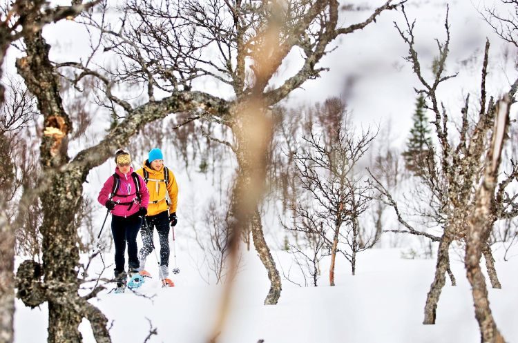 Begeleide sneeuwschoen hike Stockholm