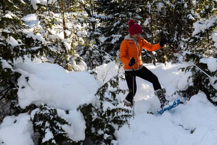 Sneeuwschoen hike met gids Stockholm - dagtour