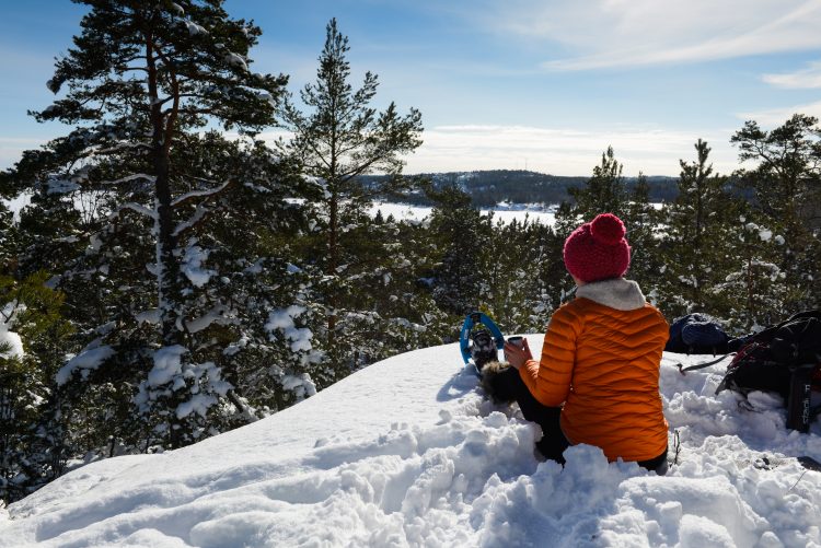 Sneeuwschoen hike met gids Stockholm - dagtour