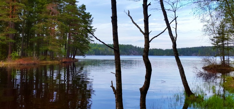 6 natuur activiteiten in Stockholm