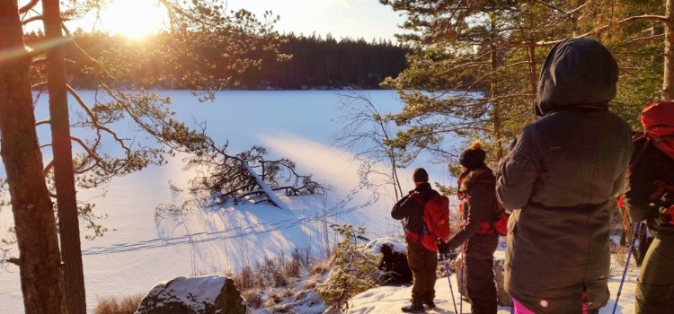 6 natuur activiteiten in Stockholm