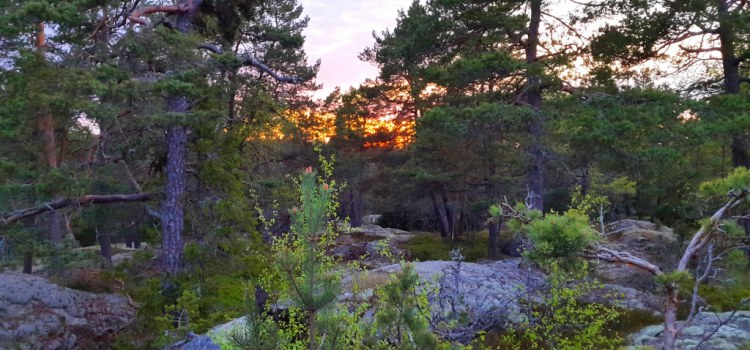 6 natuur activiteiten in Stockholm