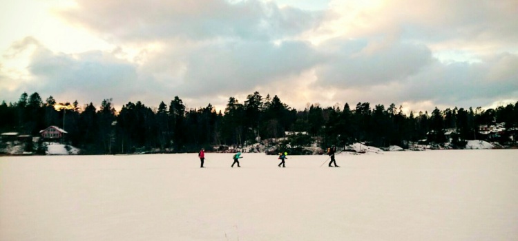 6 natuur activiteiten in Stockholm