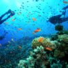 PADI Open Water duikcursus Gran Canaria