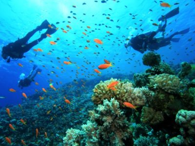 PADI Open Water duikcursus Gran Canaria