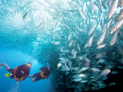 PADI Advanced Open Water Gran Canaria