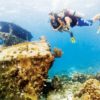 PADI Introductieduik Gran Canaria