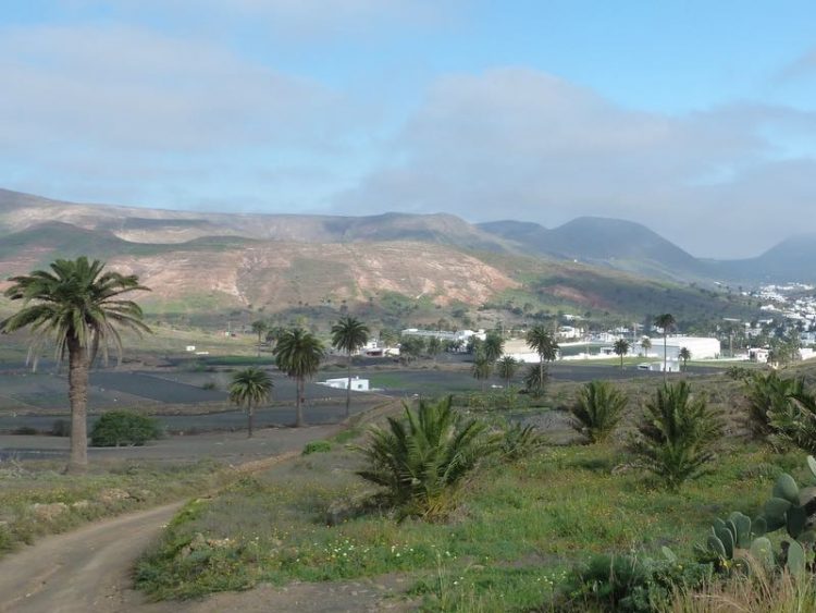 4,5 uur hiken Northern Valleys Lanzarote