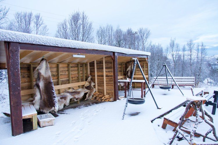 Halve dag Hondensledetocht Tromsø Noorwegen