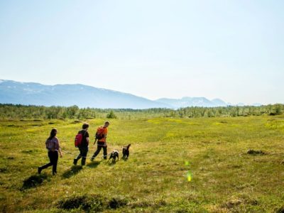 4,5 uur hiken met huskies Tromsø Noorwegen