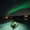 2 dagen Hondensledetocht Tromsø Noorwegen