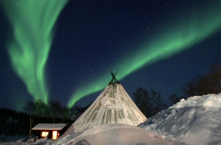 1,5 dag Noorderlicht en hondensledetocht Tromsø