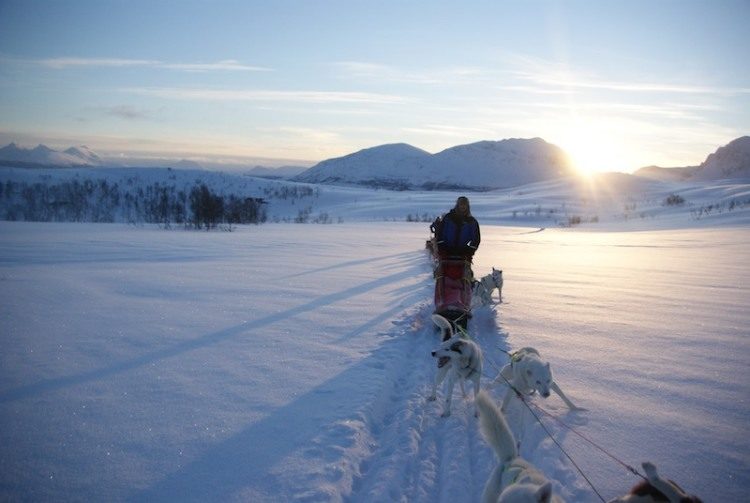Tweedaagse huskytocht Noorwegen