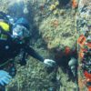 Padi Duikcursus Mykonos(2)