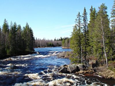 Fjäll Hike Sörsjön Dalarna centraal Zweden