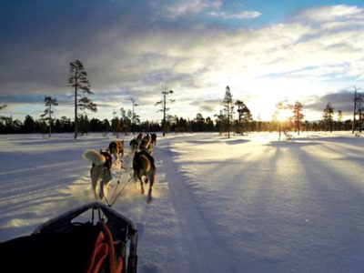 Hondensledetocht Sörsjön Dalarna centraal Zweden