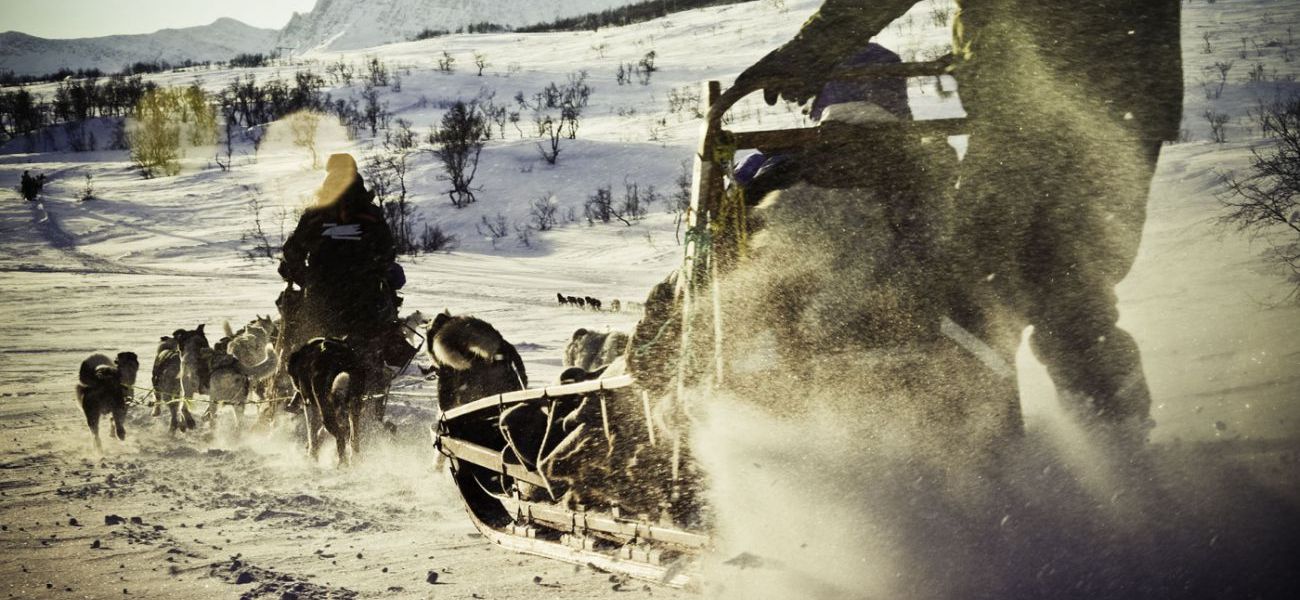Top activiteiten in Tromso