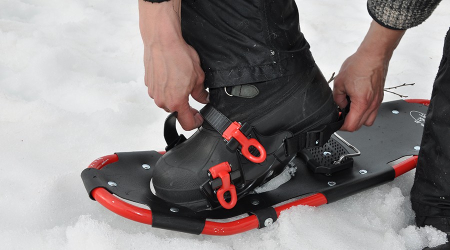 sneeuwschoen