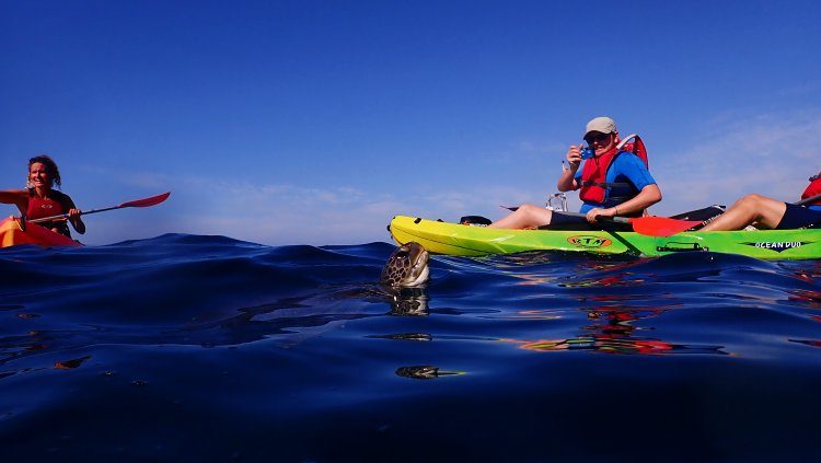 3 uur kajakken met dolfijnen Tenerife Spanje