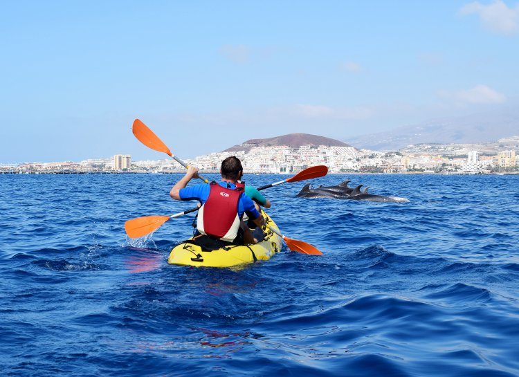 3 uur kajakken met dolfijnen Tenerife Spanje