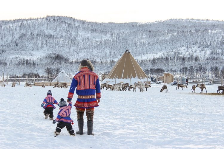 Rendiersledetocht en Sami experience vanuit Tromsø Noorwegen