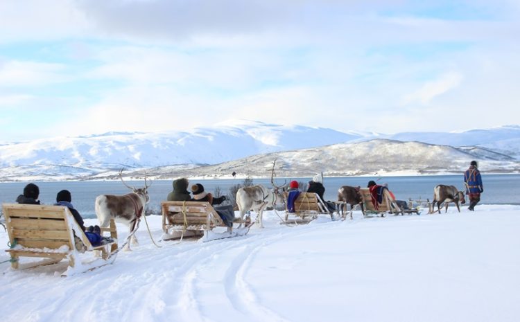 Rendiersledetocht en Sami experience vanuit Tromsø Noorwegen