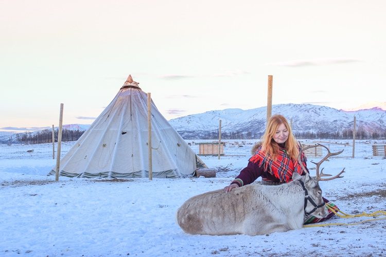 Rendiersledetocht en Sami experience vanuit Tromsø Noorwegen