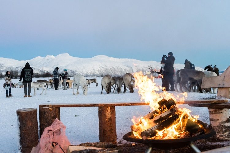 Rendiersledetocht en Sami experience vanuit Tromsø Noorwegen