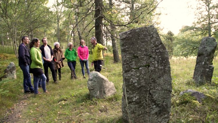 Wildlifesafari Stockholm - Avondtour