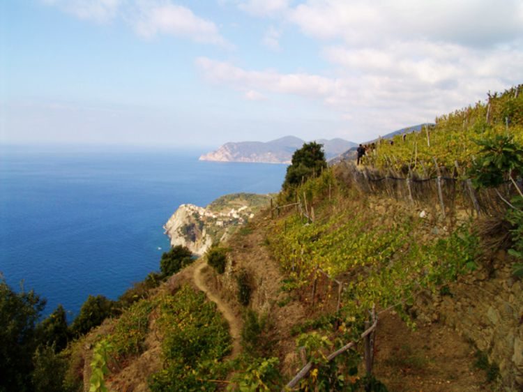 1 dag hiken Cinque Terre Toscane Italië