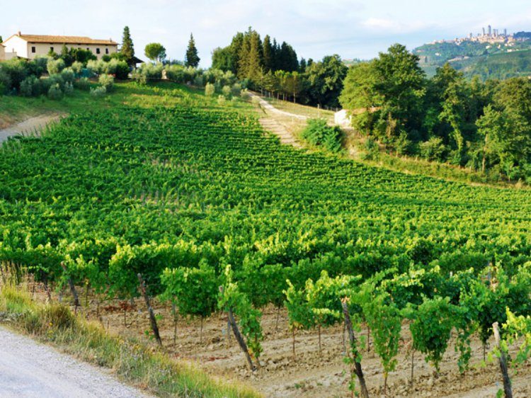 Ontdek het beste van Toscane Italië