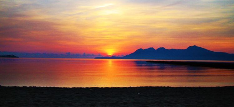 3 uur Catamaran boottocht zonsopgang en dolfijn spotten Mallorca