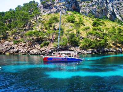 Halve dag catamarancruise met lunch en drankjes Mallorca