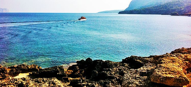 Halve dag catamarancruise met lunch en drankjes Mallorca