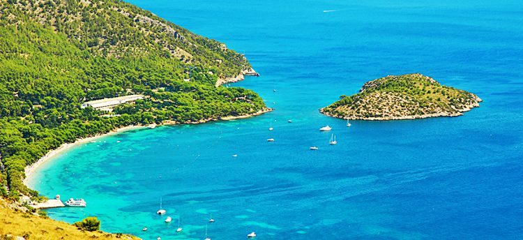 Halve dag catamarancruise met lunch en drankjes Mallorca
