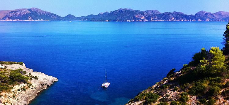 Halve dag catamarancruise met lunch en drankjes Mallorca