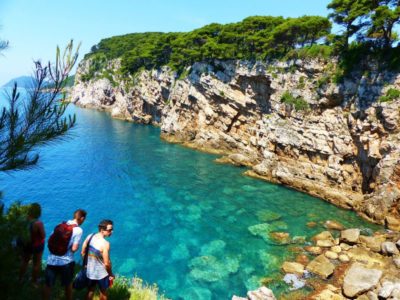 Zwemmen en hiken op het Kolocep Eiland nabij Dubrovnik Kroatië
