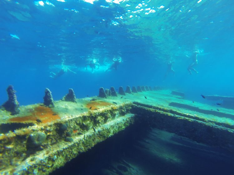 Hele dagtour kajakken Dugi Otok Zadar Kroatië