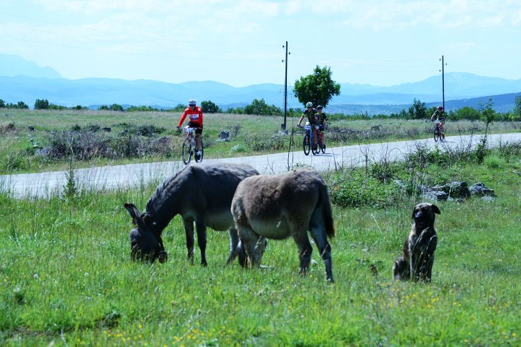 Mountainbiken in de Sinj-vallei Kroatië