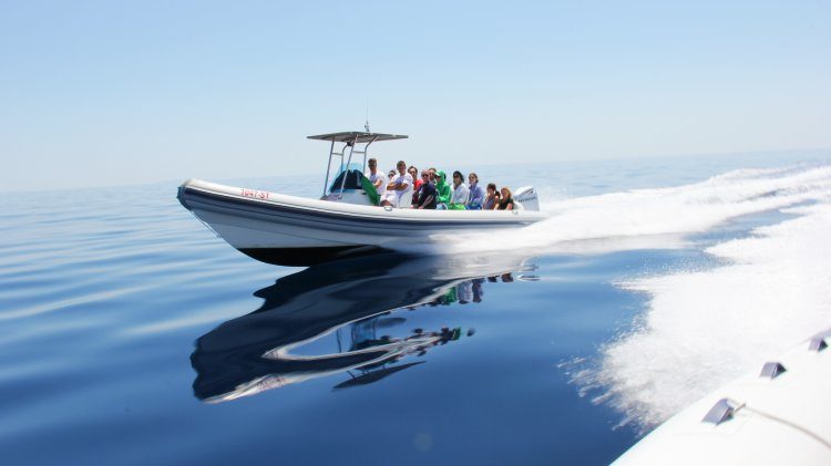 5 eilanden speedboottocht en Blue Cave Split Kroatië