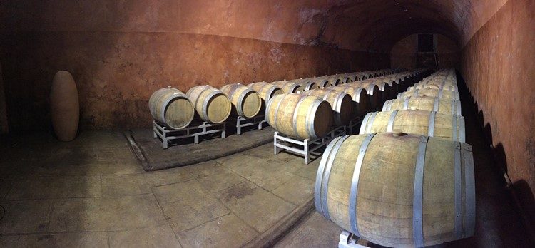 Dagtour naar wijnhuis Tenuta Il Corno nabij Florence Italië
