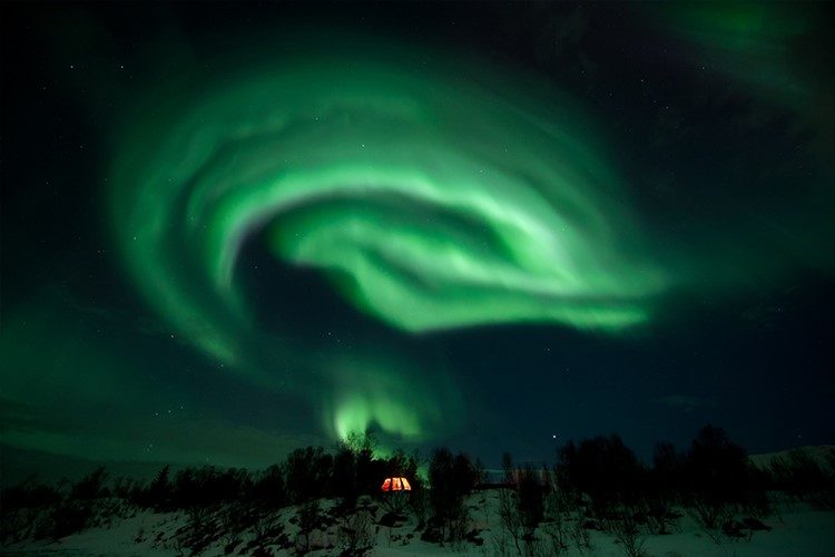 Noorderlicht en Husky Expeditie nabij Tromsø Noorwegen