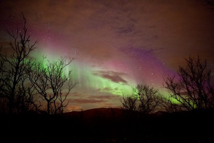 Noorderlicht en Husky Expeditie nabij Tromsø Noorwegen