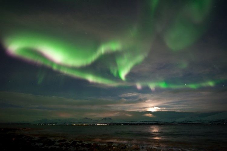 Noorderlicht en Husky Expeditie nabij Tromsø Noorwegen
