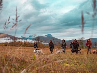 Noorderlicht en Husky Expeditie nabij Tromsø Noorwegen