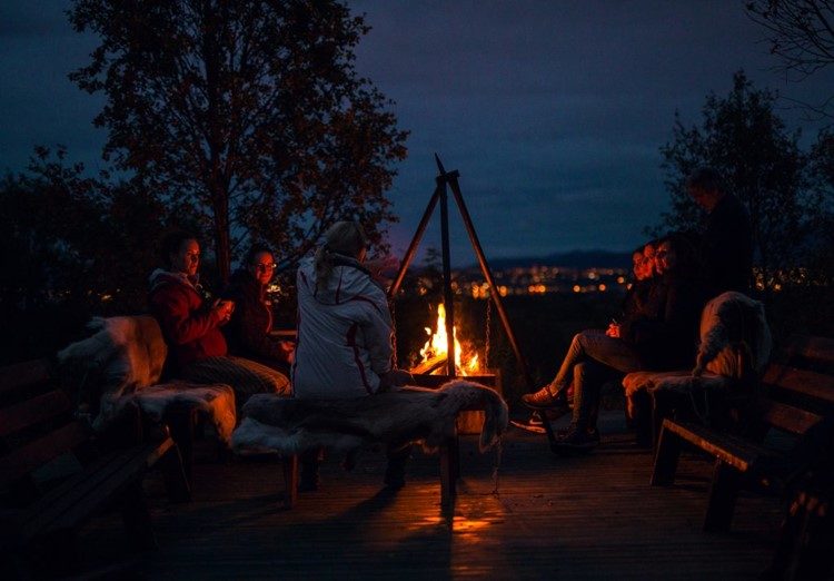 Noorderlicht en Husky Expeditie nabij Tromsø Noorwegen