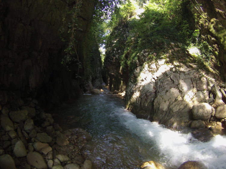Neda Canyon river trekking