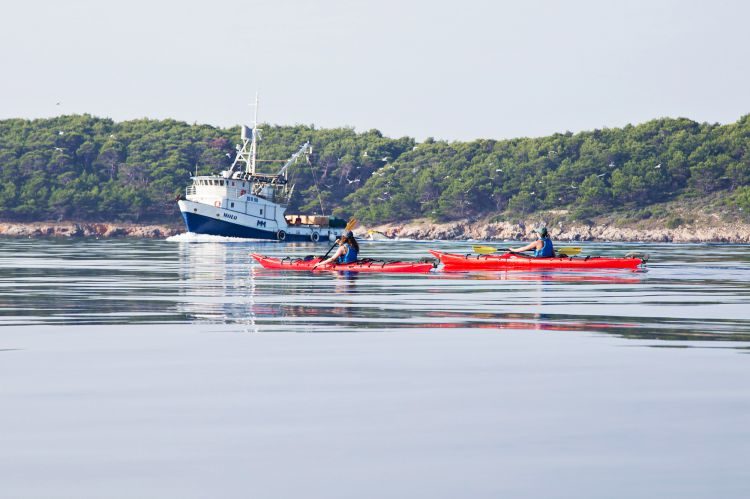 Zeekajakken 3 eilanden in de archipel van Zadar Kroatië