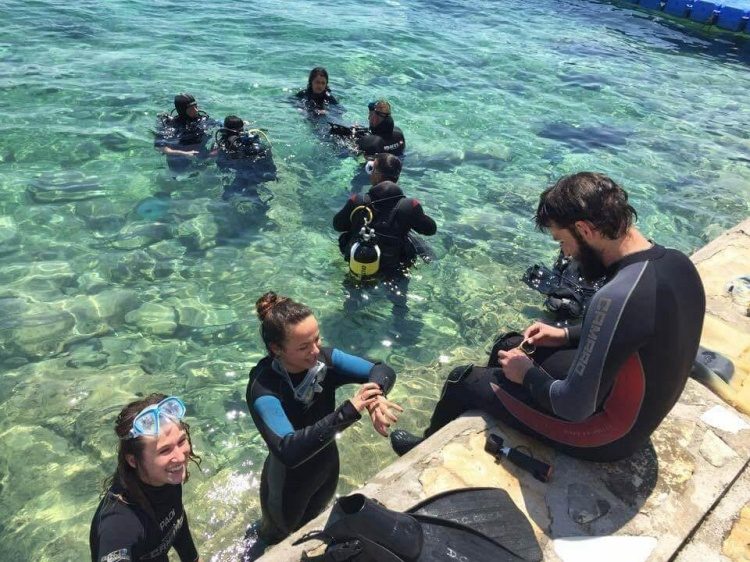 PADI Open Water Diver duikcursus Pula Kroatië